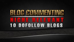 i will comment 10 niche relevant blogs on dofollow pages